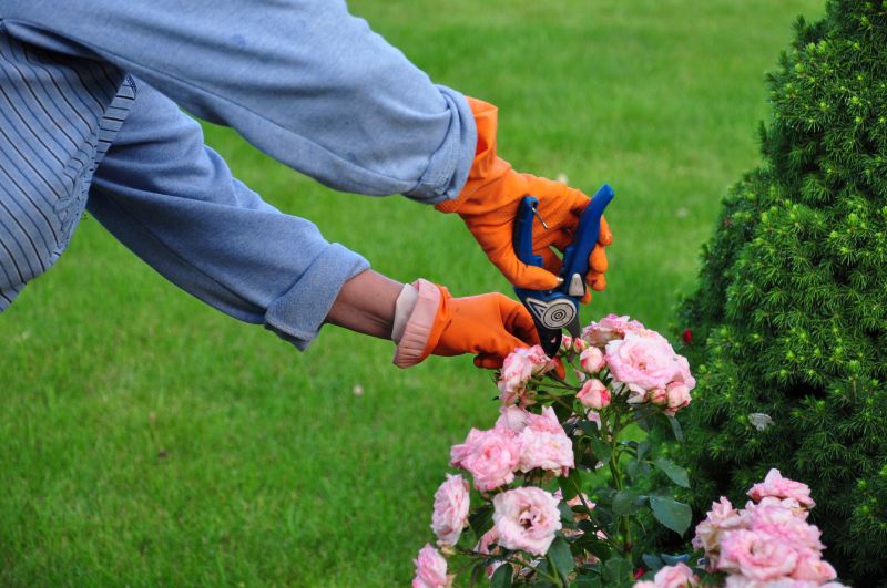 Honeysuckle Pruning Tools